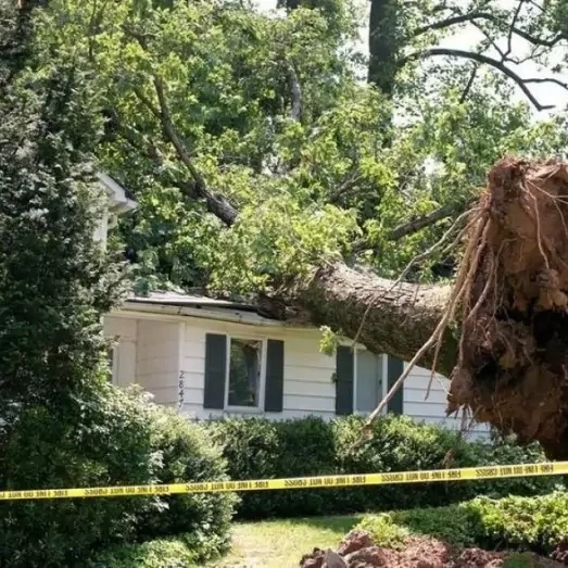 Storm, Wind Damage Repair Services in Denver Tech Center, CO